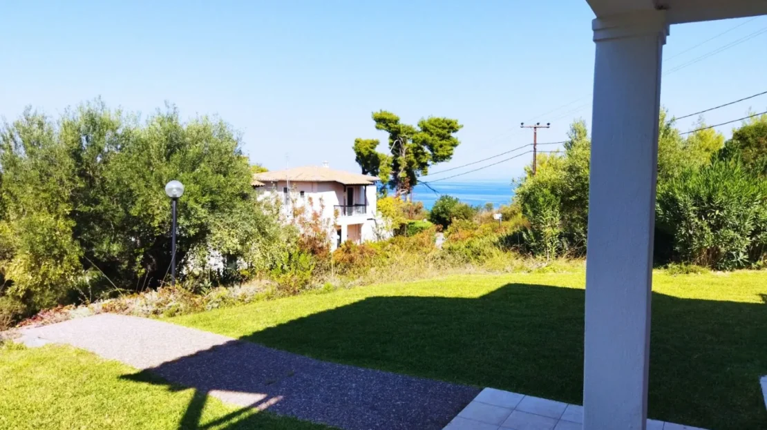 video image